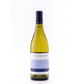 VICENTINO BRANCO 2015